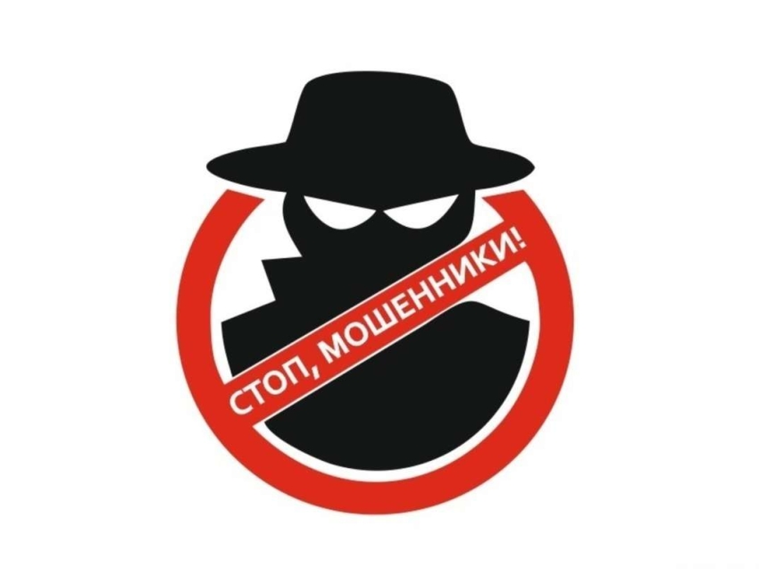 Информационно-справочные материалы по жизненной ситуации «Защита от мошенников в сети»